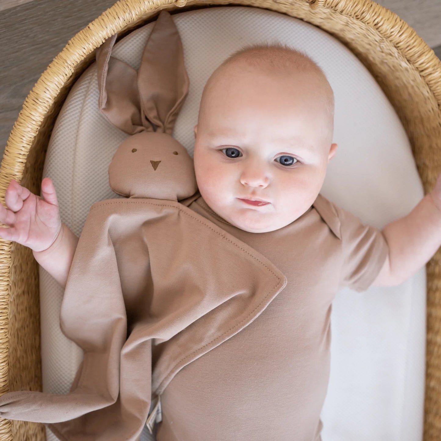 Baby in a brown outfit lying in a basket with a plush toy