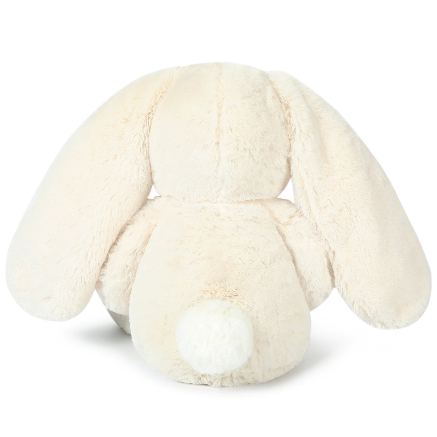 Ziggy Bunny | Oatmeal