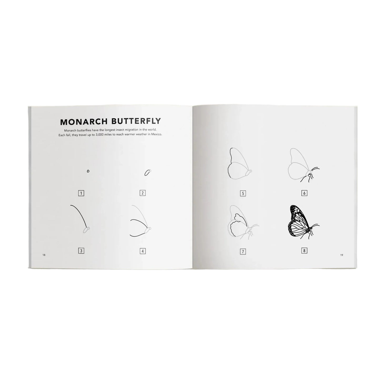 Open book showing illustrations of a monarch butterfly with text on a light beige background