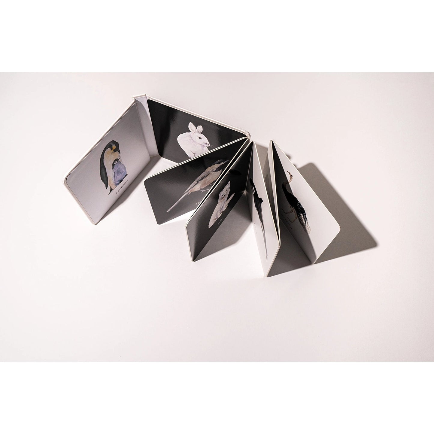 Open accordion-style photo book on a white background