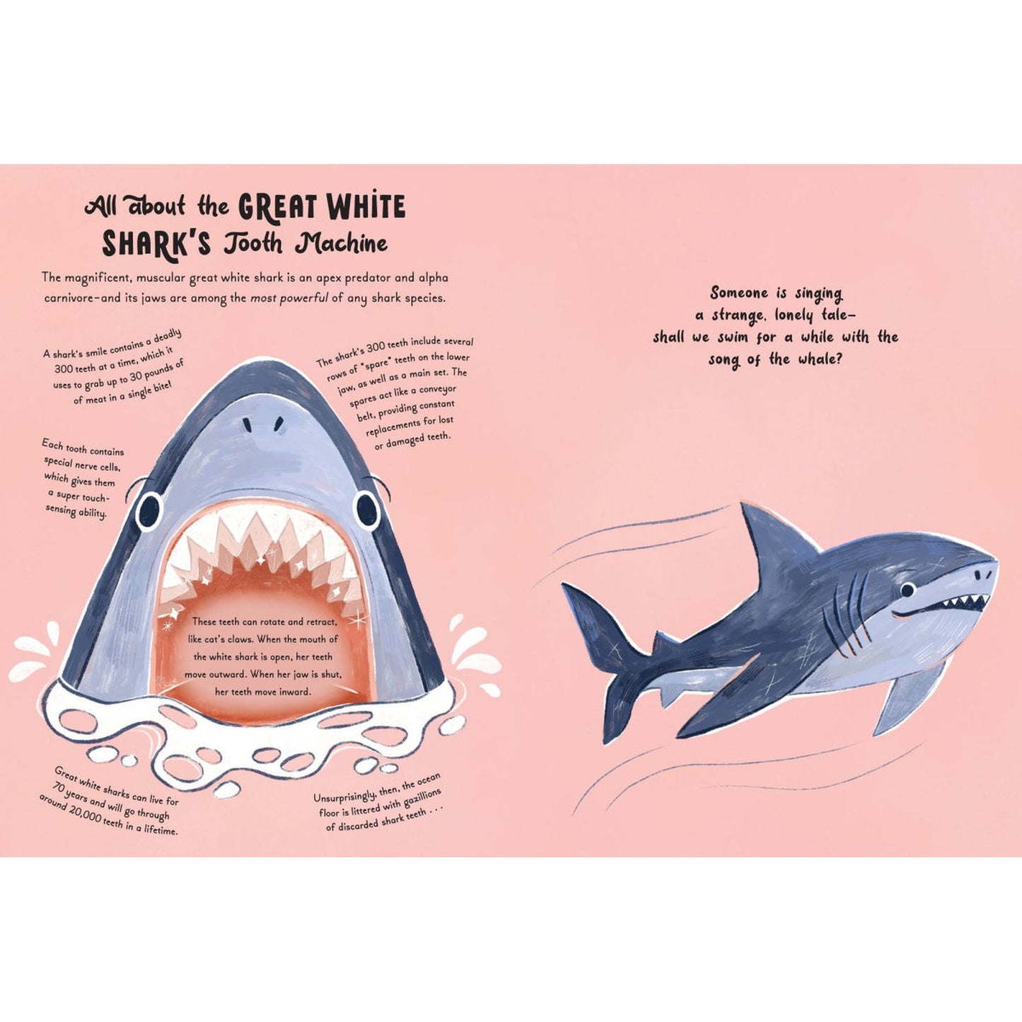5-Minute Ocean Stories