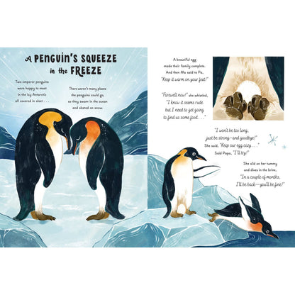 5-Minute Ocean Stories