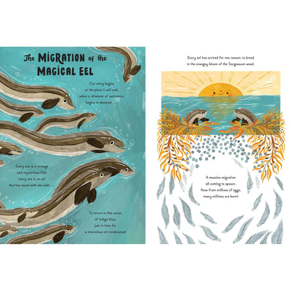 5-Minute Ocean Stories