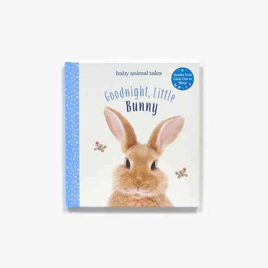 Goodnight, Little Bunny
