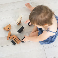 Developmental Tools