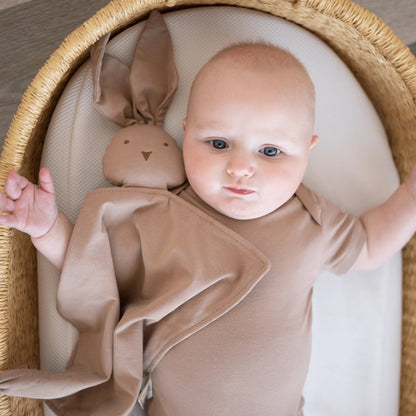 Baby in a brown outfit lying in a basket with a plush toy
