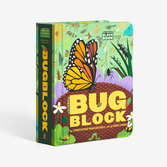 Children's book titled 'Bug Block' with a butterfly illustration on a white background