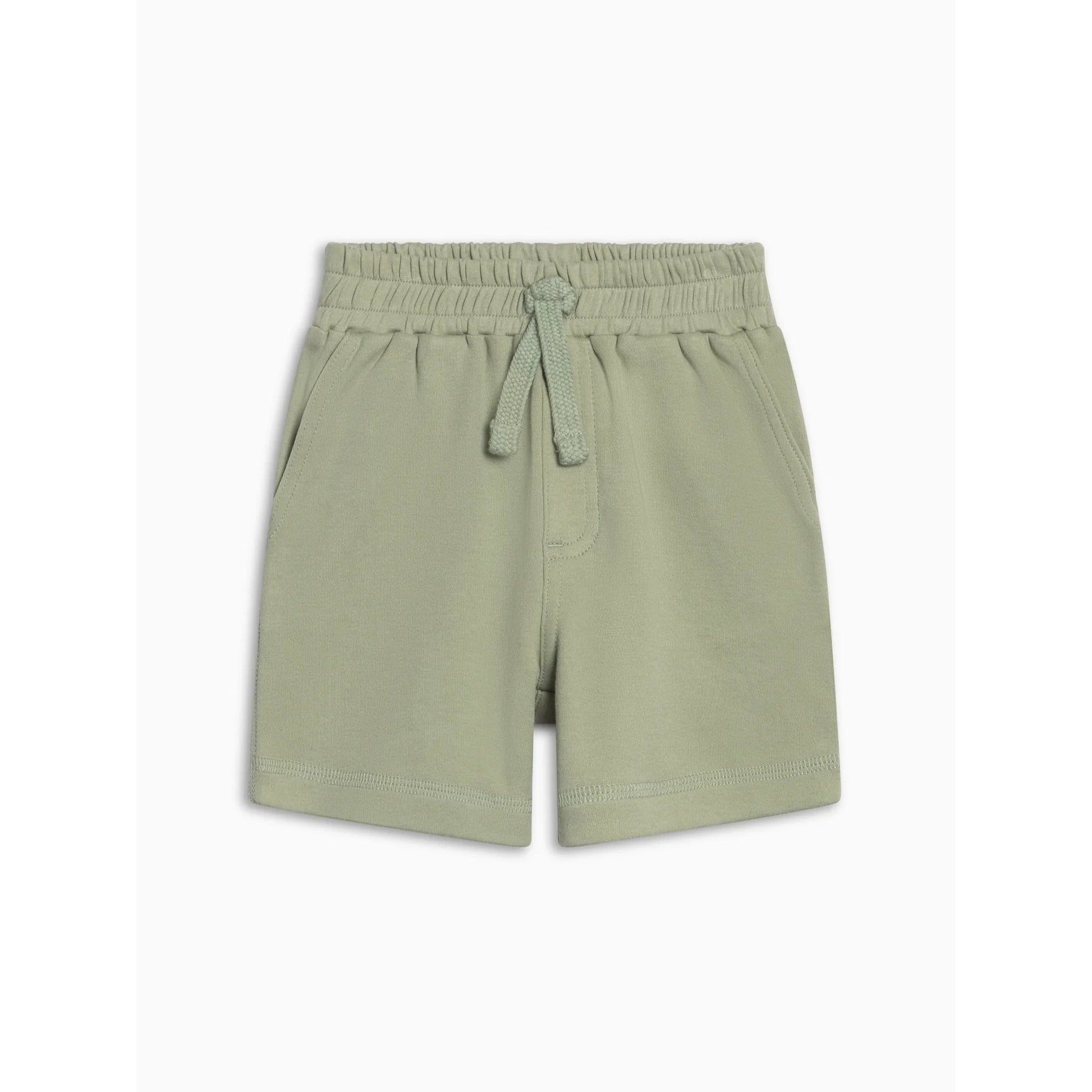 dane shorts in color mint