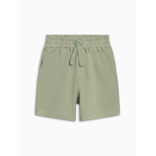 dane shorts in color mint