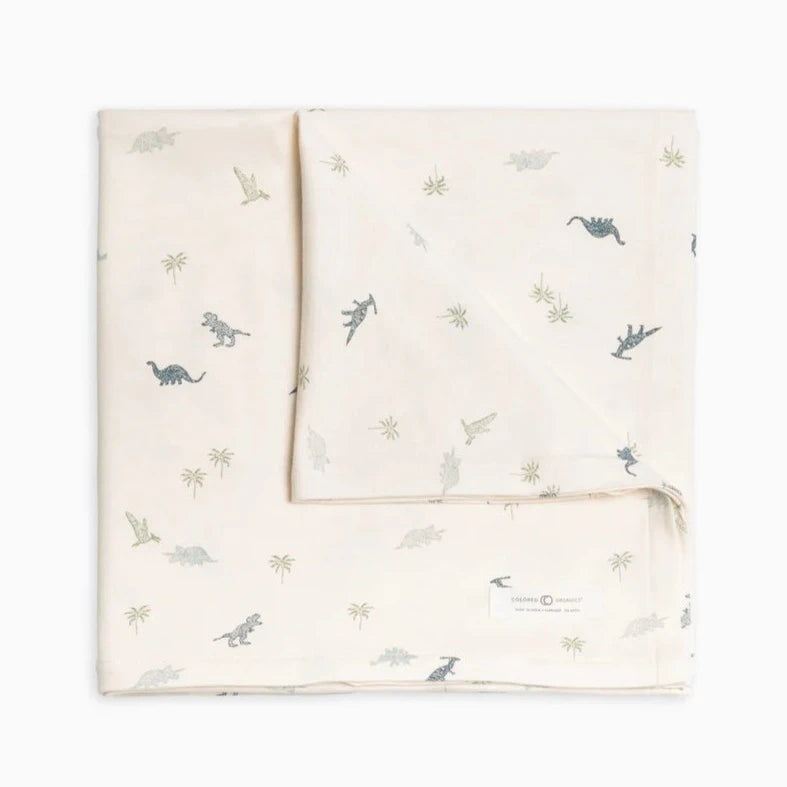 Swaddle Blanket | Dino Thyme