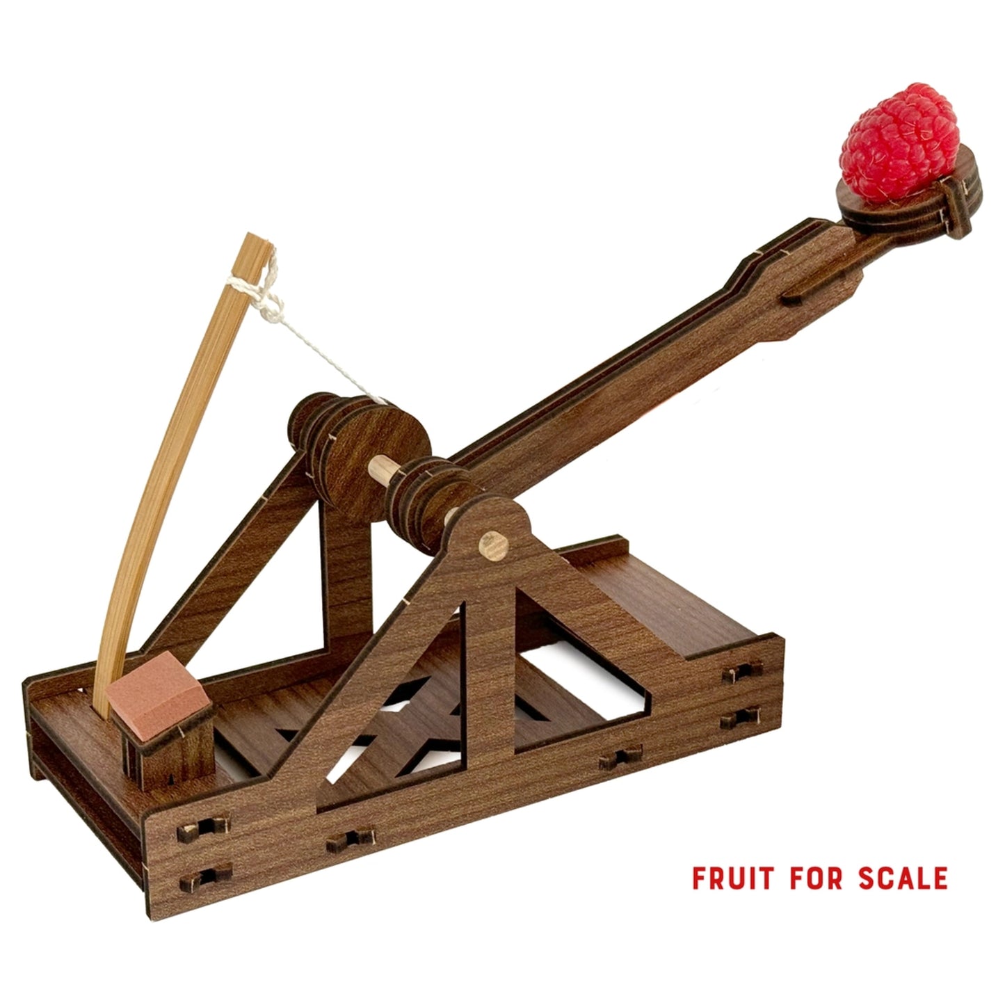 Wooden Engineering Model Kit | Mini Catapult