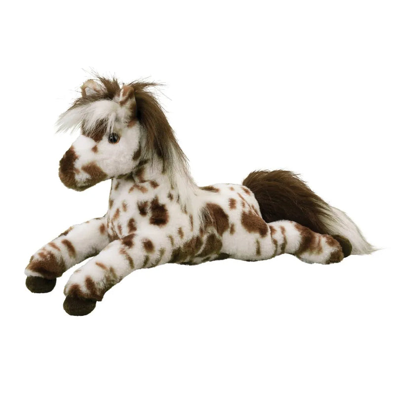 Duke Appaloosa Horse