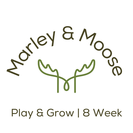 Play & Grow | 8 Week Series | Preschool Winter R