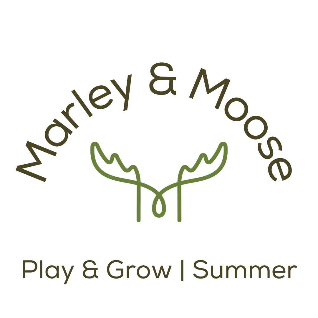 Play & Grow | Summer 2026