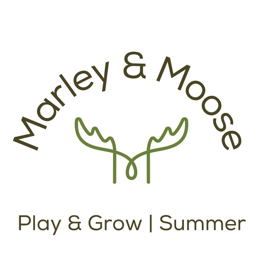 Play & Grow | Summer 2026