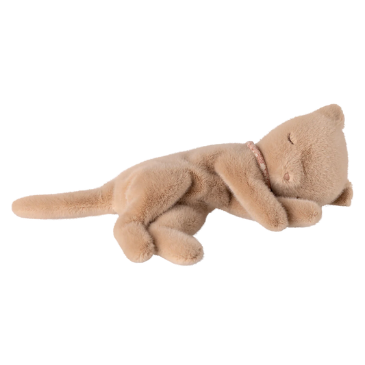 Plush toy dog on a white background