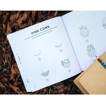 How to Draw Book for Kids | Fall Things