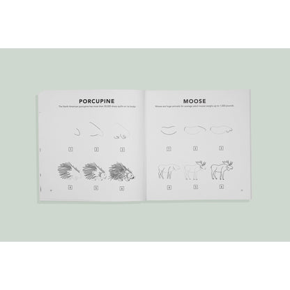 How to Draw Book for Kids | Woodland Creatures
