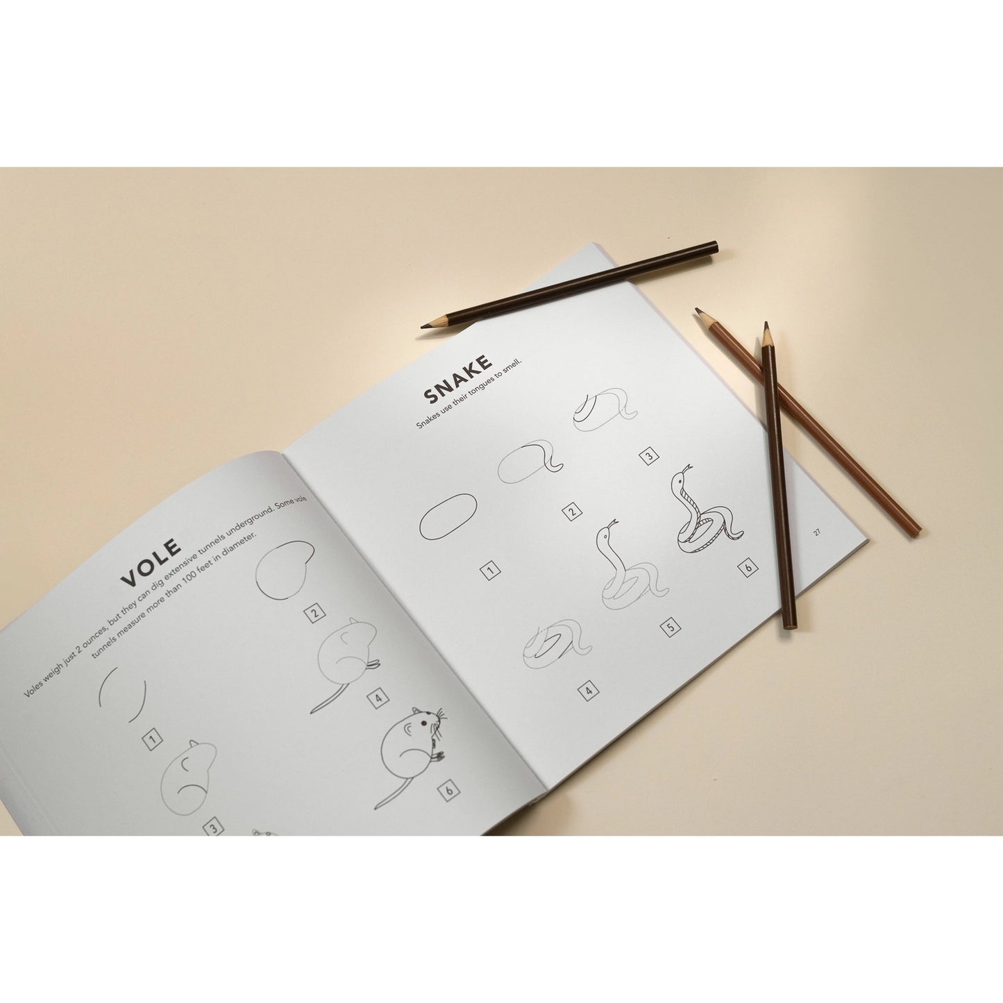 How to Draw Book for Kids | Woodland Creatures
