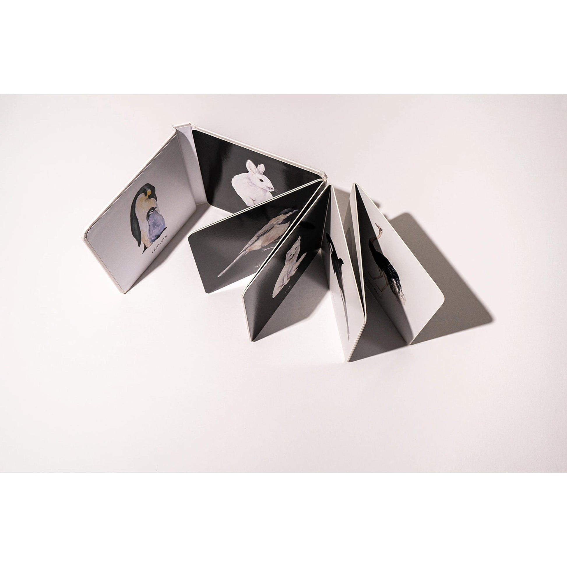 Open accordion-style photo book on a white background