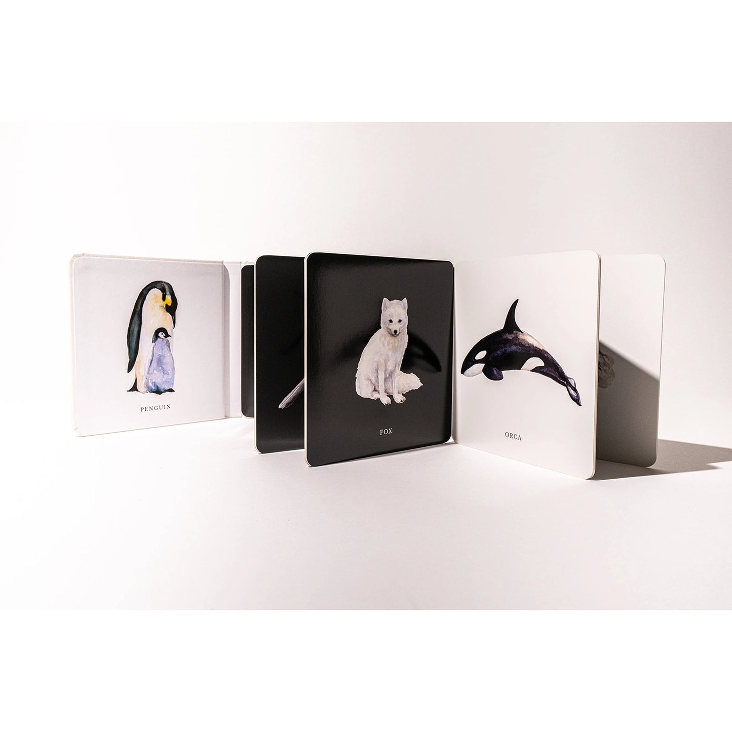 Set of animal-themed cards on a white background