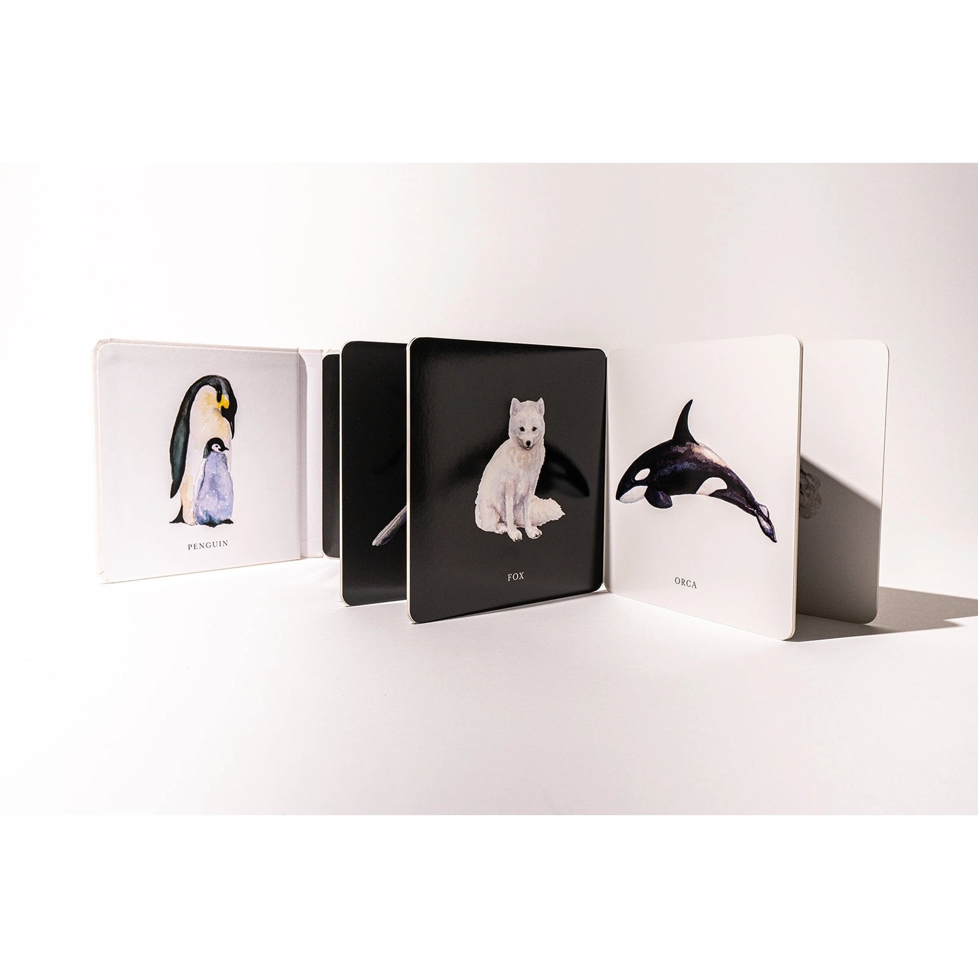 Set of animal-themed cards on a white background