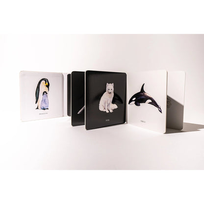 Set of animal-themed cards on a white background