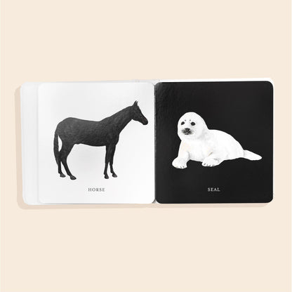 Book with illustrations of a horse and a seal on two facing pages.