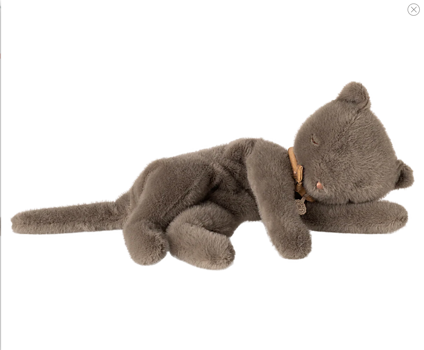 Grey Sleeping Kitten | Medium