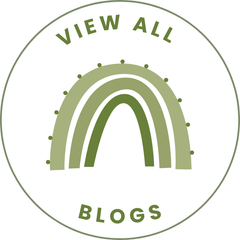 Our Blog