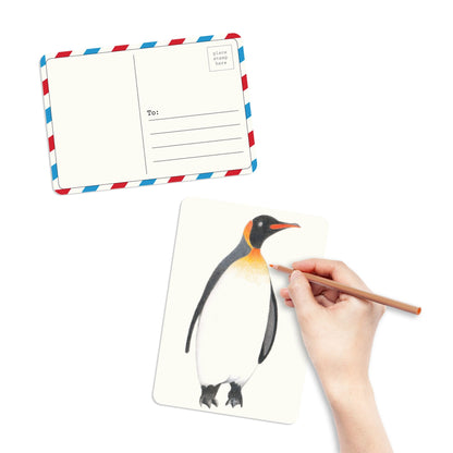 Coloring Postcard | Birds