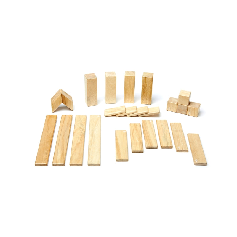 Magnetic Wood Block Set | 24 piece