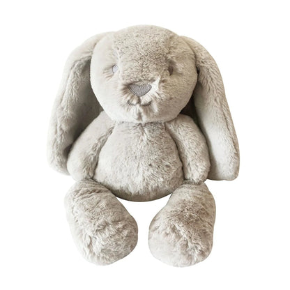 Little Ziggy Bunny