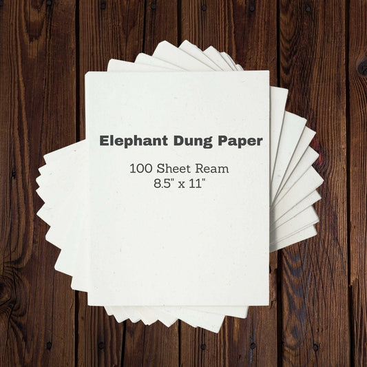 Elephant Dung Paper | 100 Sheets